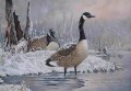oiseaux dans le lac enneigement